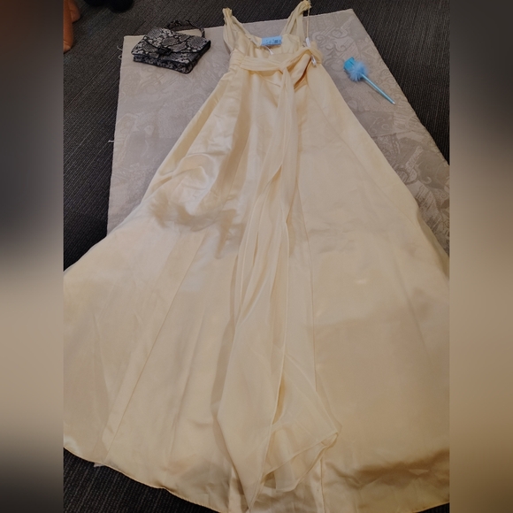 David's Bridal Soft Yellow Dress - Picture 5 of 7